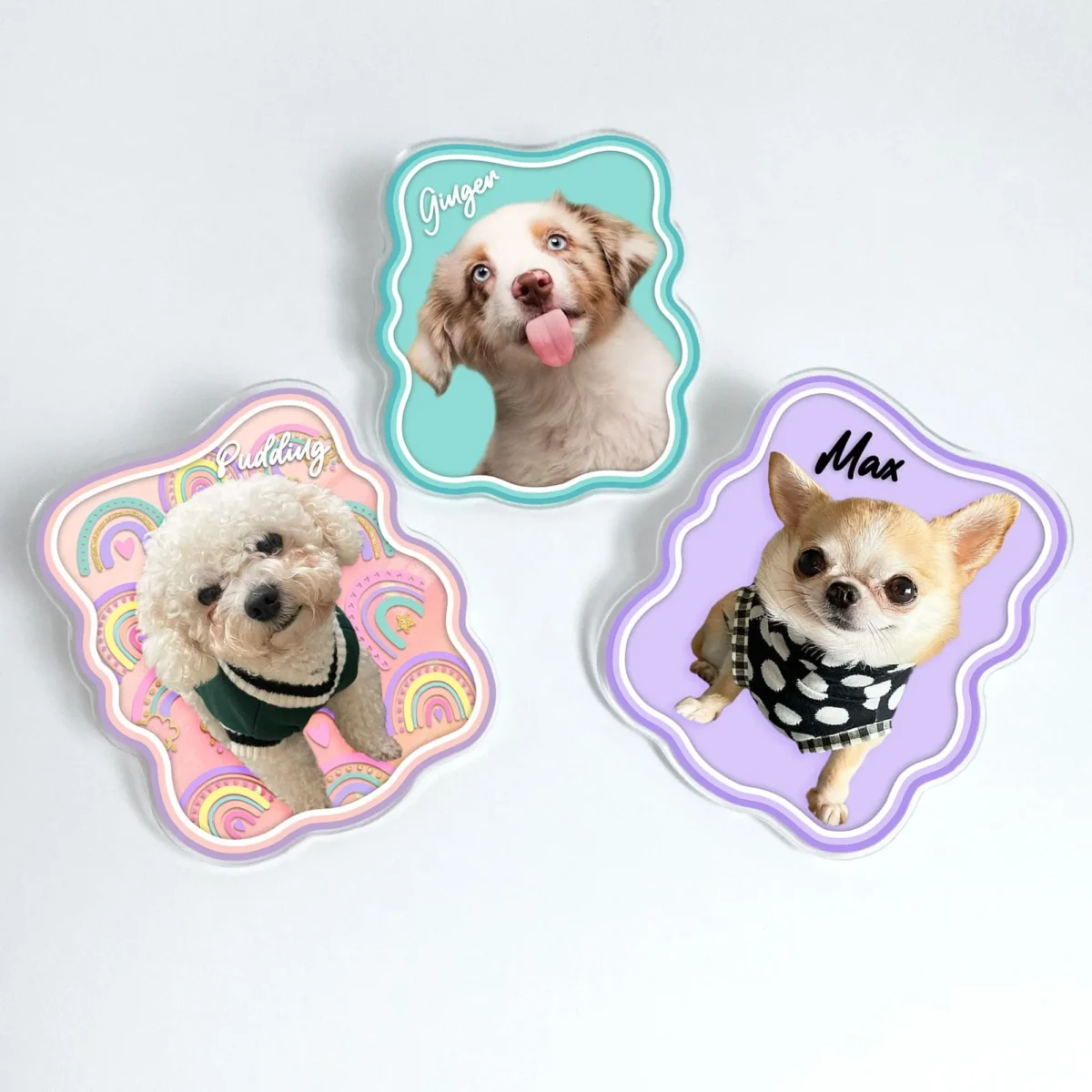 custom pet photo boho style car visor clip