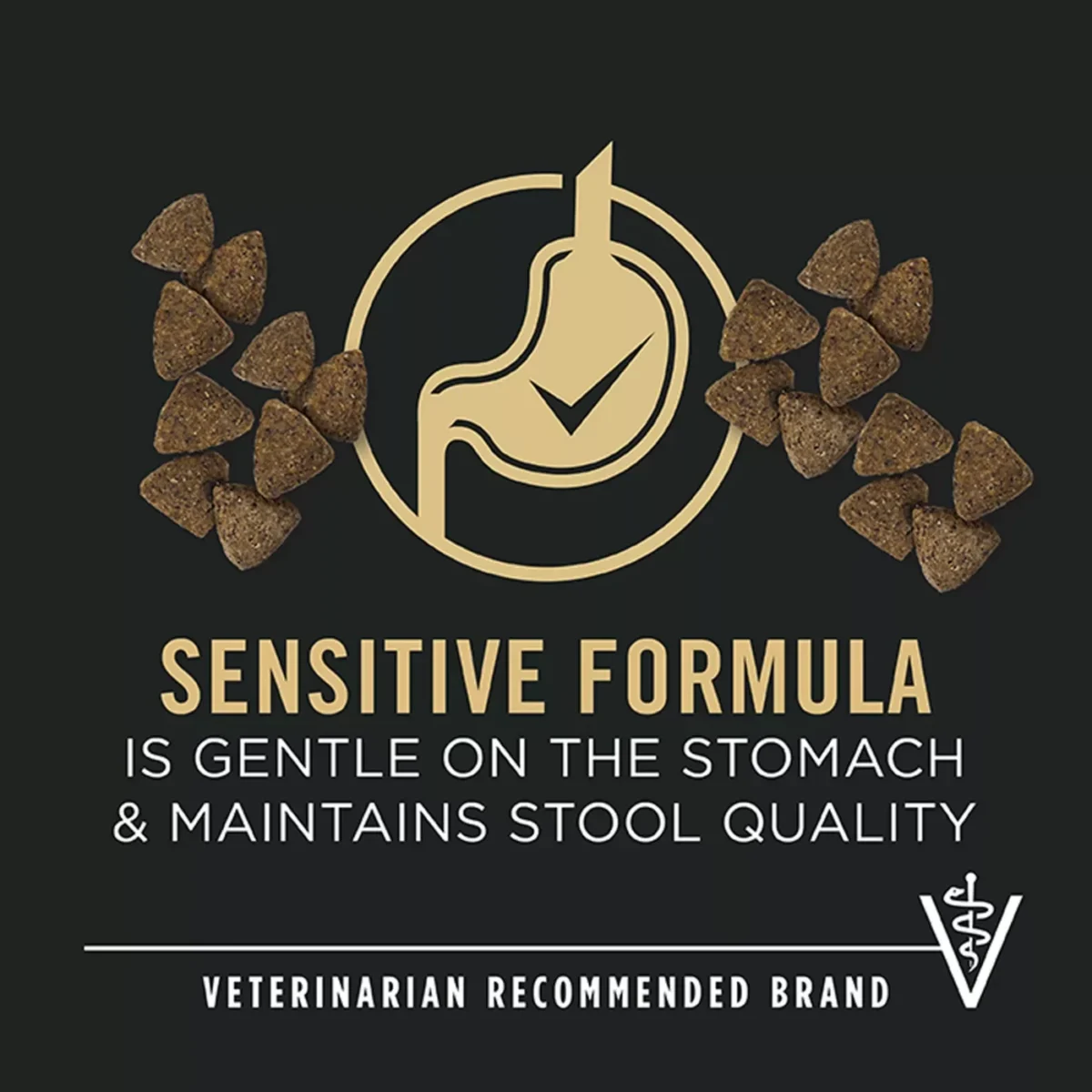 Adult Dry Dog Food for Sensitive Skin and Stomach with Salmon Rice by Purina Pro Plan 3