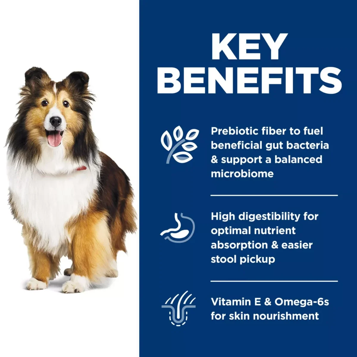 Adult Dry Dog Food with Chicken Barley for Sensitive Stomach and Skin by Hills Science Diet 6
