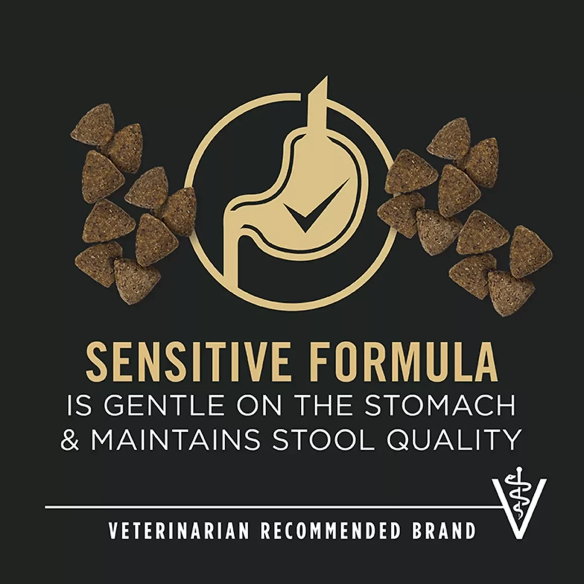 Adult Dry Dog Food with Lamb Oat Meal for Sensitive Skin and Stomach Free from Corn Wheat and Soy by Purina Pro Plan 3