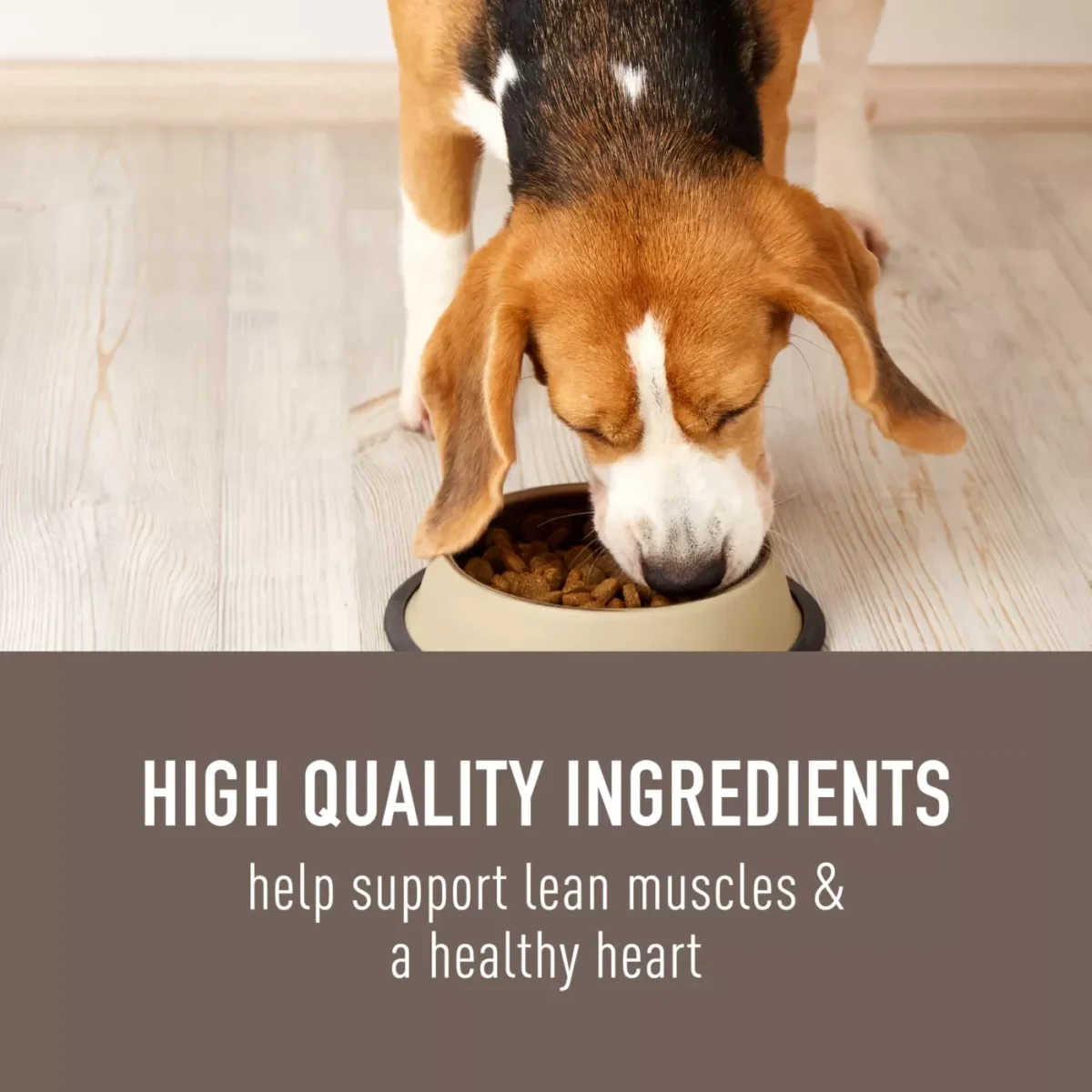 Adult Dry Dog Food with Lamb Oatmeal for Original Nutrition by Simply Nourish 4