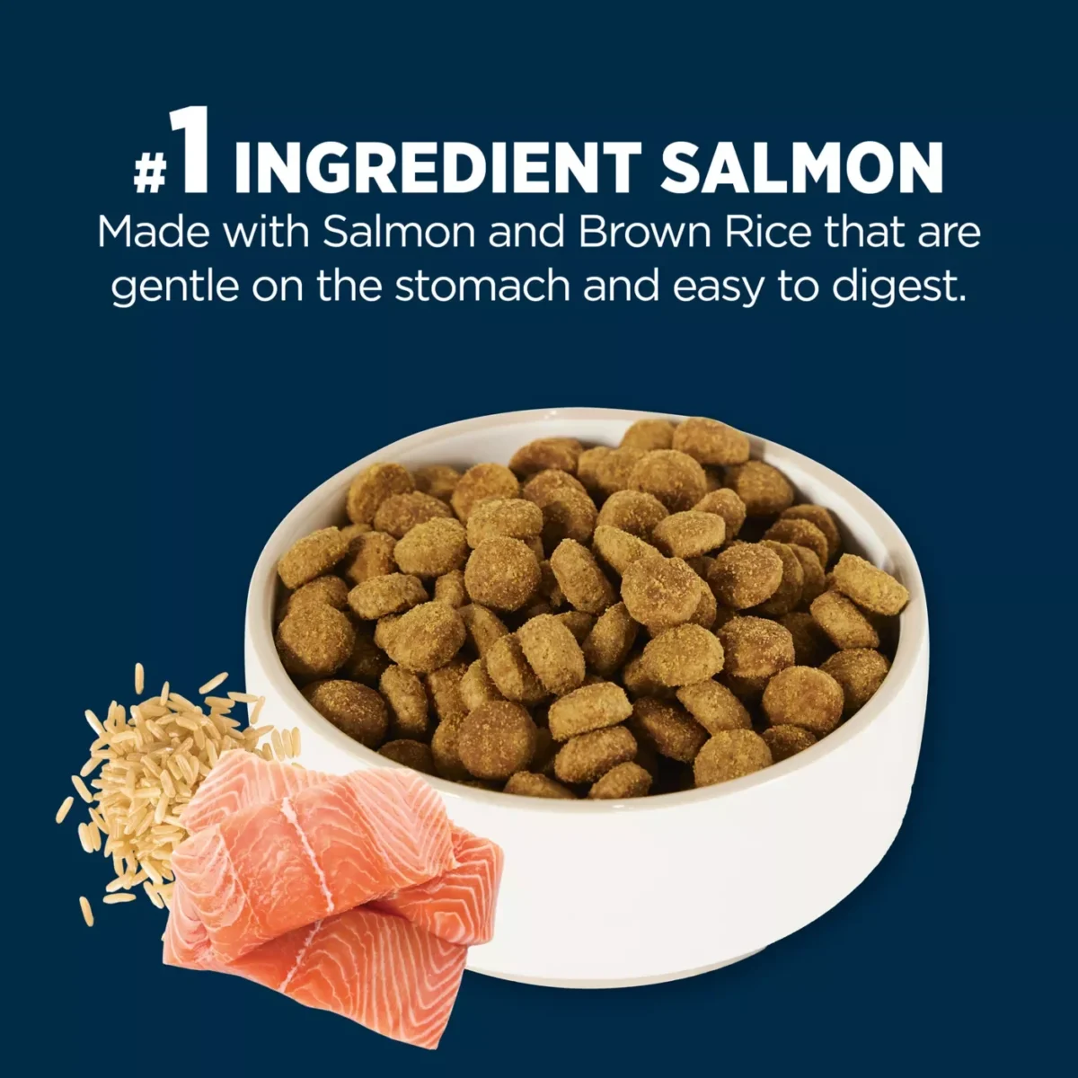 All Life Stages Dry Dog Food with Salmon Rice for Sensitive Stomach and Skin by Authority 4