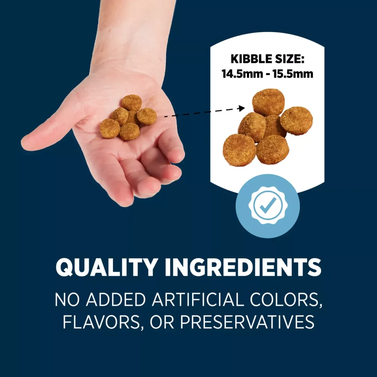 All Life Stages Dry Dog Food with Salmon Rice for Sensitive Stomach and Skin by Authority 5